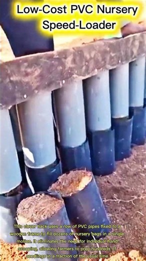 Low-Cost PVC Nursery Speed-Loader