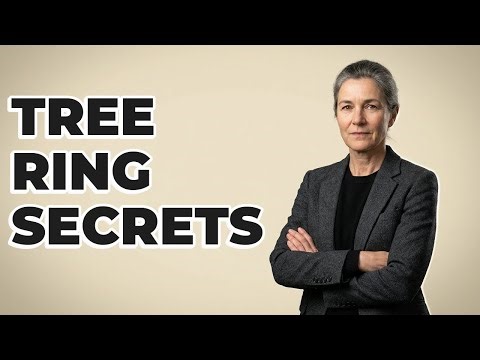 How Does Dendrochronology Date Archaeological Sites?