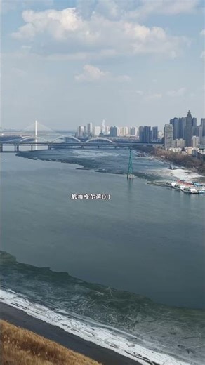 River's Rebirth: Fish Spawn, Chickens Roost - Nature's Revival