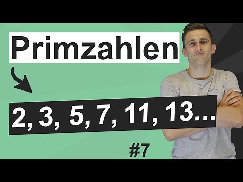 Primzahlen - Was ist das? Wozu brauche ich das? | Einfache Erklärung | Natürliche Zahlen #6