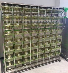 [Hot Item] SPF Laboratory Ivc Mouse Cages for Animal Experiments Animal Research Ventilated Cage Equipment