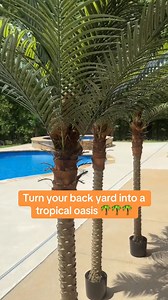 The best artificial palm trees for outdoor use - bring tropical breezes to your winter. Maintenance-free, water-free, lifelike, and the perfect decoration for your patio, pool, and garden. Black Friday Sale - 15% off #taketree #fakeplants #artificialplants #vitalismoplants #tropical #patio #poolside #hopmemorialday #homedecorating #palmtrees #bestsalepalmtrees #bestsalefauxplants #outdoorpalmtree | Vitalismoplants