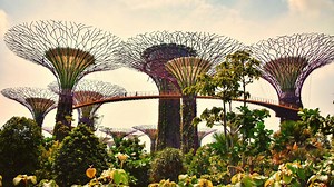 How Architecture Is Adapting to Climate Change—And What It Means for Homeowners