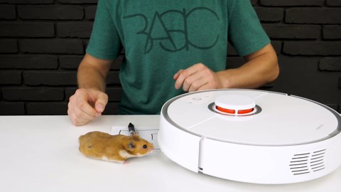 Hamster vs robot vacuum: Who wins the ultimate maze challenge?