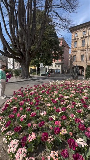 #Spring has sprung in 📍#Lugano, #Switzerland 🇨🇭🌷 | Franklin University Switzerland