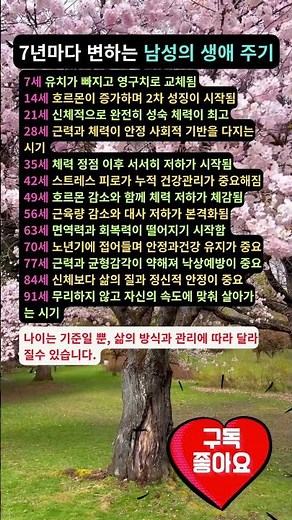 7년마다 변하는 남성의 생애 주기