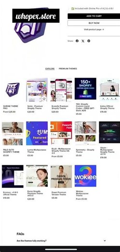 premium Shopify store for ecommerce business