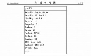 结巴练朗读7分钟：一种Netflow流量分流方法及装置