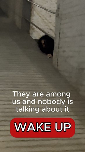 1.6M views · 3.8K reactions | Wake up before it's too late. We need to gather ourselves and hunt these bastards #scary For more context see the comment section | Wout Company | Facebook