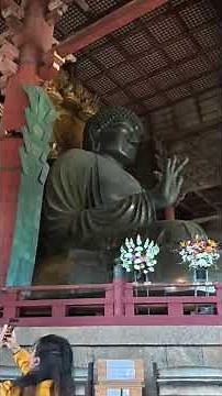 奈良の大仏さんを見に行こう / 東大寺大仏殿