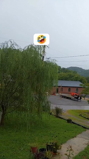 Steven Allen on Reels