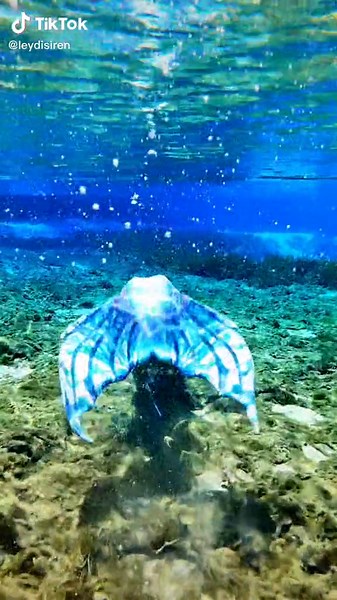 Mako Mermaids Shake with Sound: A Magical Performance