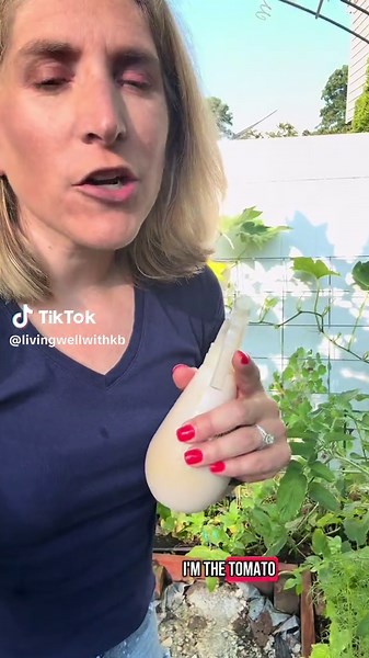 Got hornworms wrecking your tomatoes? Here’s one of those Unbelievable Gardening Hacks You Must Try! Use BT spray — it’s safe, organic, and super effective #creatorsearchinsights #gardeninghacks, #planttips, #gardenlife, #diygardening, #greentok