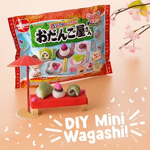 24K views · 730 reactions | Create your own mochi, dango and other Japanese sweets with this Wagashi DIY Kit featured in September's Premium box!  What's your favorite wagashi? Sign up with code JAPAN5 for $5 off Premium at tokyotreat.com/promo | TokyoTreat | Facebook