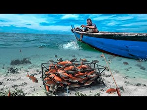The complete process of catching fish using a trap | Catch and sell | Fishing Videos