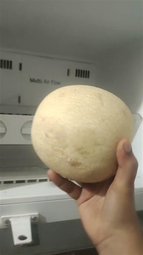 Beat the Heat with Muskmelon Milkshake ☀️🥛#shortsfeed #shortsviral #shorts