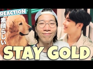 BTS (방탄소년단) 'Stay Gold' Official MVをREACTION!