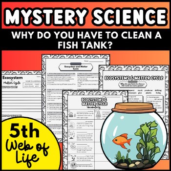 Mystery Science Web of Life Lesson 5 Worksheets & Notes | 5th Grade Matter Cycle