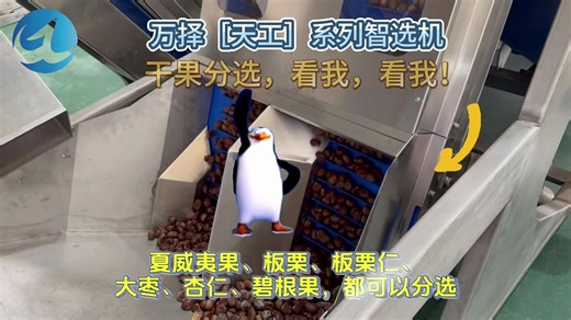 双十一买分选机，首选万择［天工］系列智选机，高效生产的得力助手！