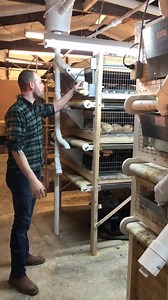 Quick tour of 2018 Myshire Farm. Will post detailed videos of everything. Tell us what you think!!!!!! | Myshire Farm Quality Quail