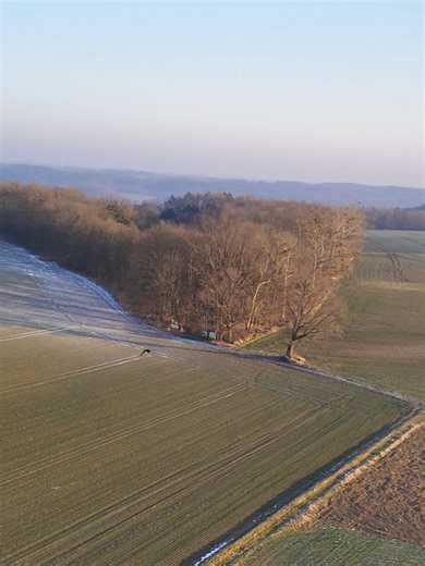 Cyk Pyk 📷 Lecimy z tym: Równo #driver#dron#lecimyztym#driverdronuje #dji #dji4pro #rowno