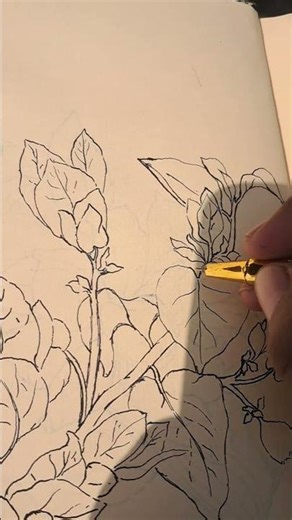 Foliage Drawing in pen #/ Pen Sketch#/ Foliage Drowning #Step by step #