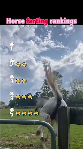 Horse farting rankings #horse #funnyvideo