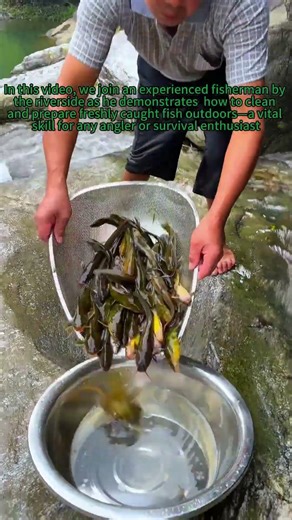 Fresh Catch! 🎣 Easy Outdoor Fish Cleaning & Prep Tips by the River