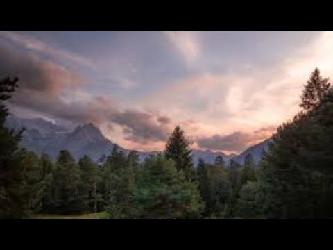 🔴EXCLUSIVE PETS GIVEAWAY IN PET SIMULATOR X ROBLOX! ROBLOX LIVE🔴