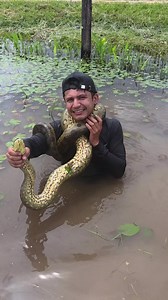 Rescatamos una Anaconda Gigante #DiegoDiaz | anacondas