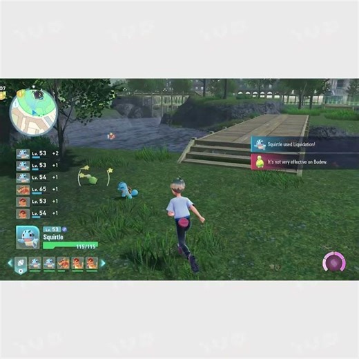 Squirtle, Wartortle and Blastoise Clone Evolution