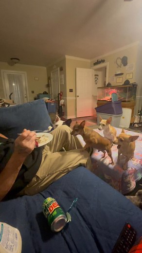 He loves his puppers! | Heather Gonzalez