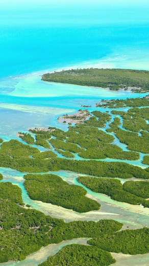 Looking for a fun family vacation or a romantic beachfront getaway? Check out these amazing island destinations in the USA! | Only In Your State