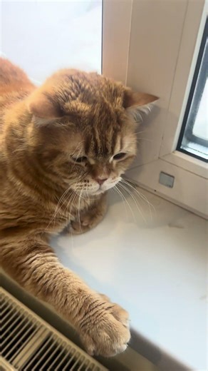 4 февраля 2026 г.