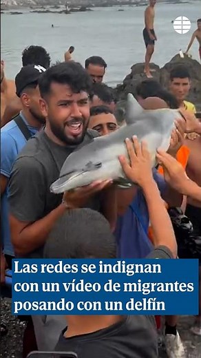 Outrage online over video of migrants posing with a baby dolphin in Ceuta