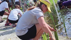 9K views · 166 reactions | New year, new mission video for Keep America Beautiful | Keep America Beautiful | Facebook