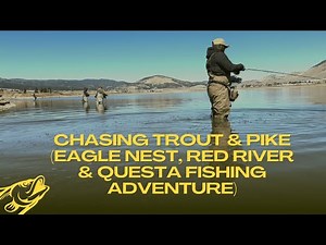Chasing TROUT & PIKE Across New Mexico! (Eagle Nest, Red River & Questa Fishing Adventure)
