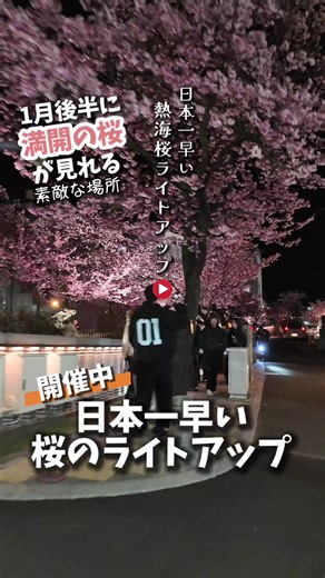 日本一早い🌸桜のライトアップ【あたみ桜糸川桜まつり2026】が、熱海市の糸川遊歩道で2月8日まで開催中です🥰🌸 日本一早咲きの桜で、毎年1月後半から2月あたまに満開を迎えます😃糸川遊歩道では、期間中毎日23時まで桜のライトアップが行われております🌸✨ すぐ近くには、パワースポットで知られる来宮神社⛩️もあり、夜の灯りが美しい映えスポットでもあります🙏🏻 熱海の夜景が美しい熱海展望台は、車で24時間行ける高台で正面に熱海の夜景、振り返ると熱海城という夜景スポットです🌃 昼間行くなら、熱海ロープウェイで行く【あいじょう岬うみそらテラス】がオススメです👍✨熱海の街並みから初島まで見渡せる絶景スポットです🥰 ぜひ冬に桜咲く静岡県熱海市へ🚗³₃ #桜 #ライトアップ #熱海 #パワースポット #絶景