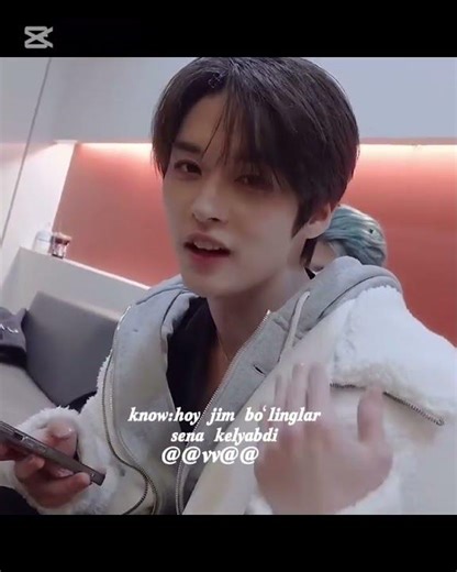 Lee know version🥰😘 #armygirl #btsv #bts