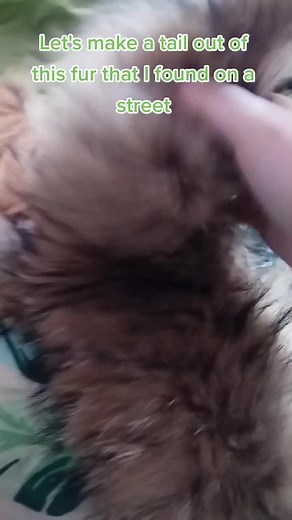 Creating a Unique Therian Tail from Recycled Fur