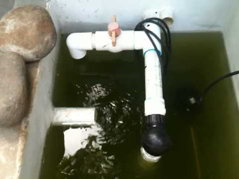 Duck Pond Recirculating Filtration Set Up