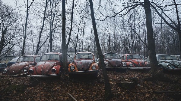 A secret Volkswagen graveyard is hidden in Pennsylvania
