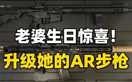 [中配]老婆生日惊喜！升级她的AR步枪 - Vietac