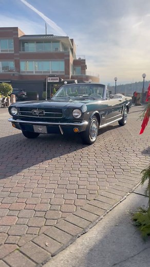 1965 mustang convertible 🐎 ⁃ D-Code 289 ci V8 ⁃ 210 HP ⁃ 4 Volt carburetor ⁃ C4 Gearbox ⁃ Dual Exhaust #1965mustang #mustang #fordmustang #mustanglife #convertible #oldmustang #coupe #carpassion #caredits #Carlifestyle #cargram #Carsofinstagram | Park Place LTD