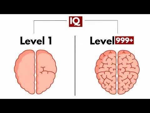 How to Force Your Brain to 100% Power