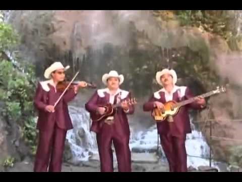 Los Auténticos de Hidalgo - El baile del compadre