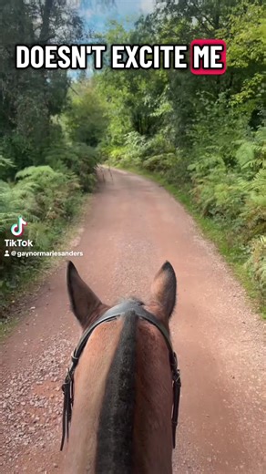 #welshsecd#equestrianlife#countryliving#nature #wilderness
