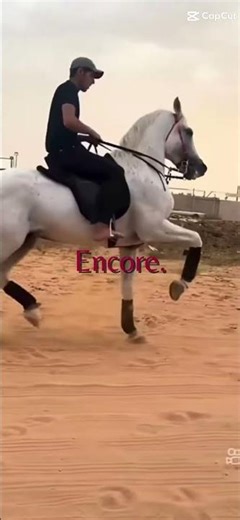 stop à la maltraitance