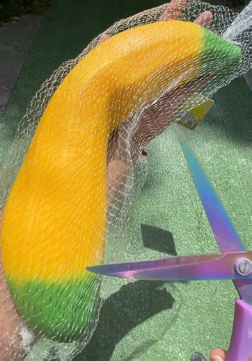 Giant Banana BURST (it got huge) | bananas