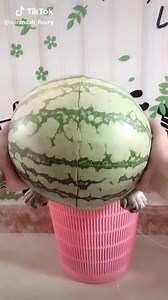 280K views · 3.9K reactions | Daily Doge on Reels | Facebook